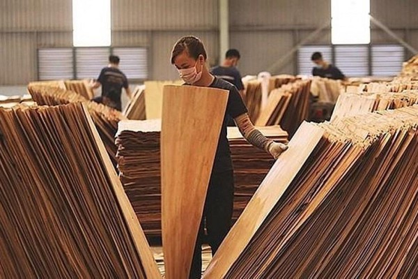 Doanh nghiệp ngành gỗ cần trang bị “phao cứu sinh” trước "làn sóng" điều tra phòng vệ thương mại